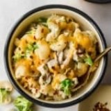 Chicken Broccoli Cottage Cheese Mac and Cheese